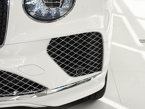 2026�� 4.0T V8 ������ŶȰ�