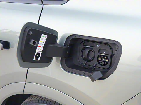 2025�� FREE+ ����Ǭ����