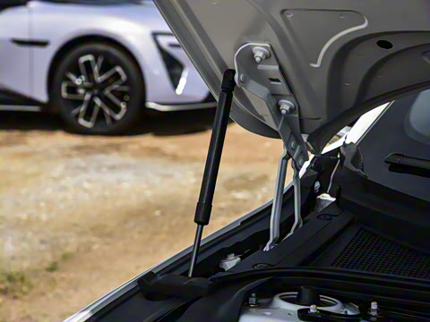 2026�� �����������̰� 310������