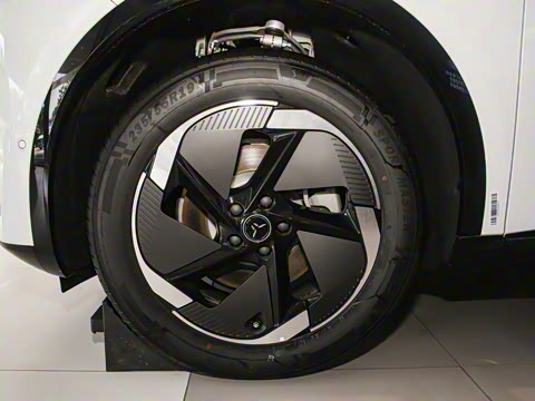 2025�� 520 ��ѡ��