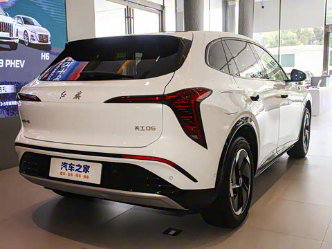 2025�� 520 ��ѡ��