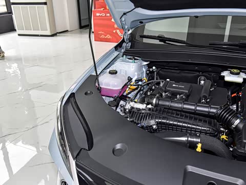 2026�� DM-i 210KM��ȡ��