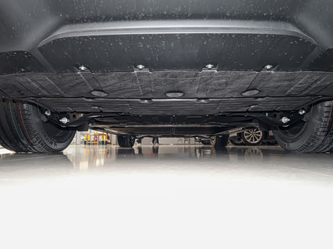 2026�� Max �����ɹ��� ����