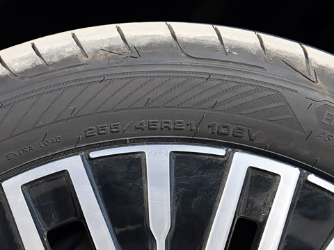 2026�� Max ������