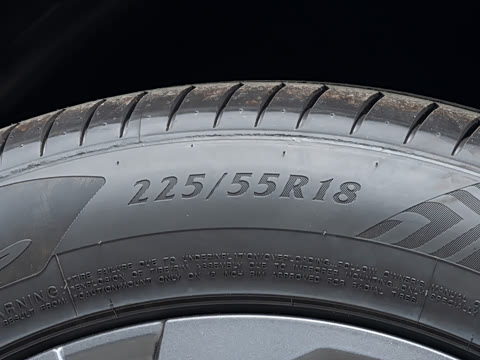 2026�� Ӱ�� 270T ������