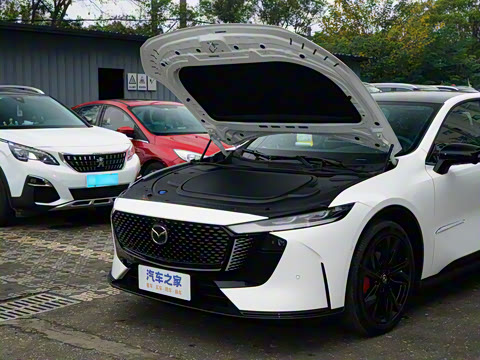 2026�� ����200 Pro�˶���