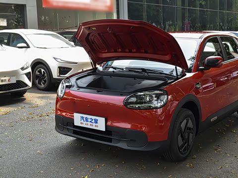 2026�� 310������