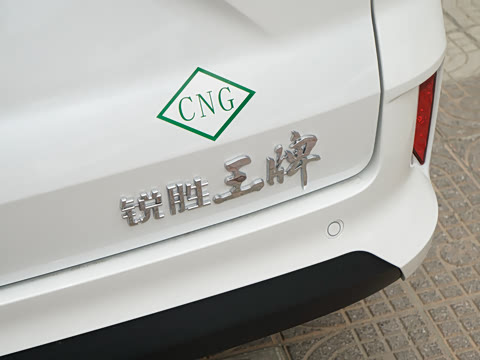 2025�� 2.0L CNG�м�Ӫ�����ʰ� 7��