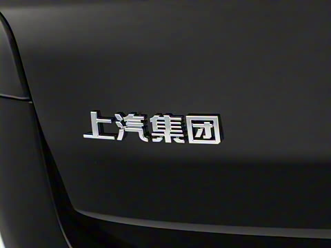 2025�� �Ŀ� MAX 2.0T �Զ������� ���� 7��