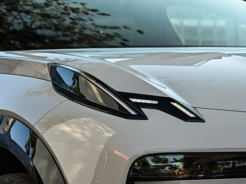 2026�� Max������