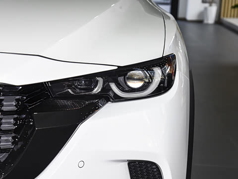 2026�� 2.5L ���а�