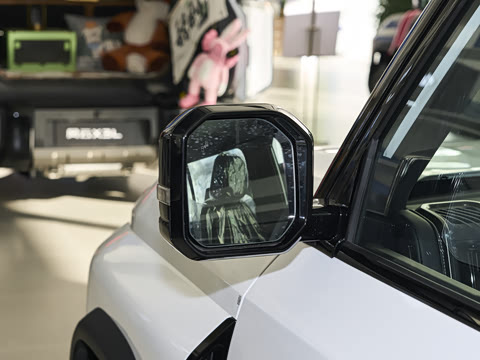 2025�� 520���������