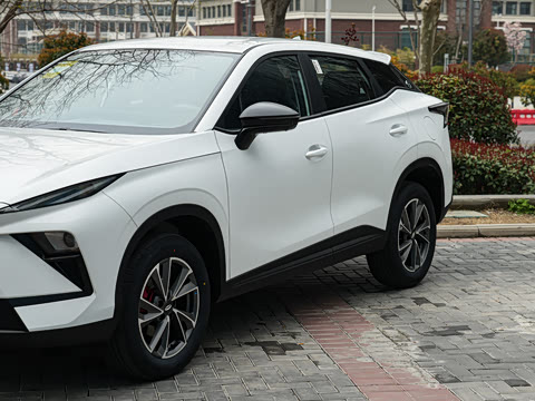 2026�� �˶������