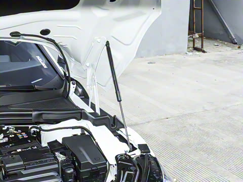 2026�� ���L 300TSI ����