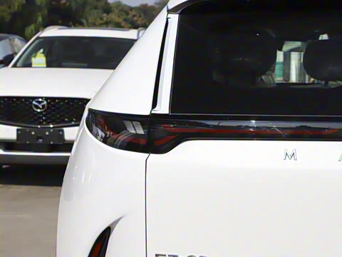 2025�� ����600 Pro