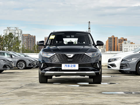 2026�� 280TSI �Զ��ȷ��