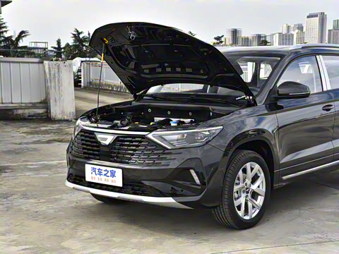 2026�� 280TSI �Զ��ȷ��