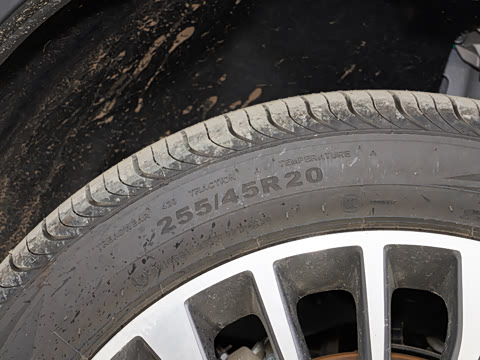 2025�� ������ 5��