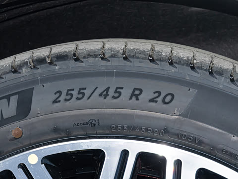 2025�� FREE+ ����Ǭ����