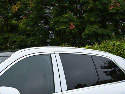 2026�� ���� Max������ 5��