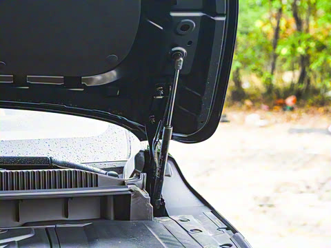 2026�� 200km ��������������¶Ӫ��