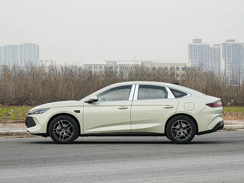 2026�� DM-i 210KM��Խ��