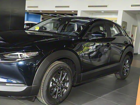 2025�� 2.0L �ֶ�������