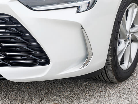 2025�� 25T ������