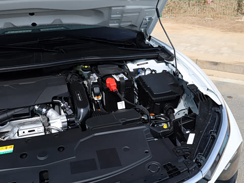 2026�� 1.6T Ԧ����