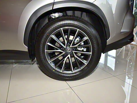 2025�� 400h+ PRIME