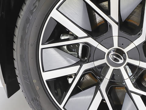 2025�� Ǭ�� Max 5��