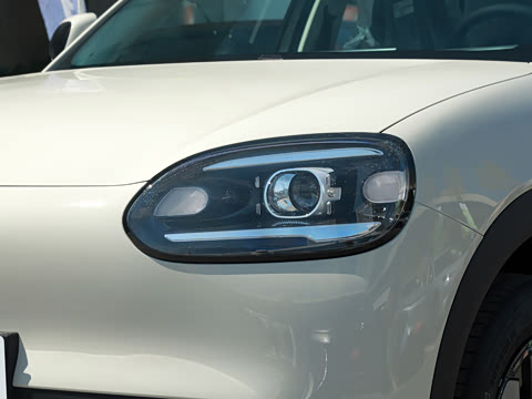 2026�� 310�Ȱ���