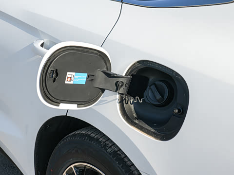 2026�� DM-i 170KM��Խ��