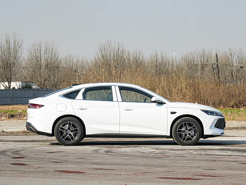 2026�� DM-i 170KM��Խ��