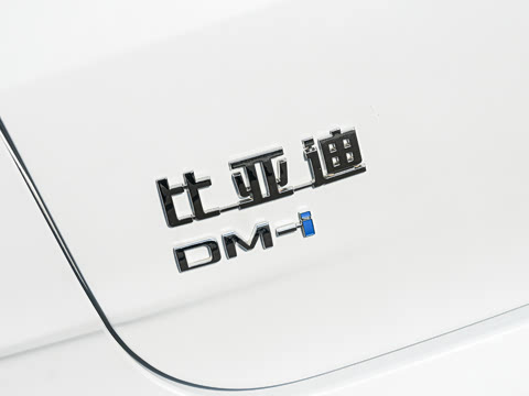 2026�� DM-i 170KM��Խ��