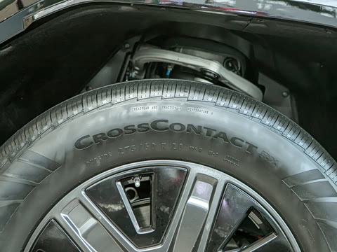 2026�� Max+