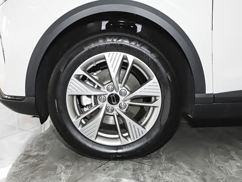 2025�� 565km �����