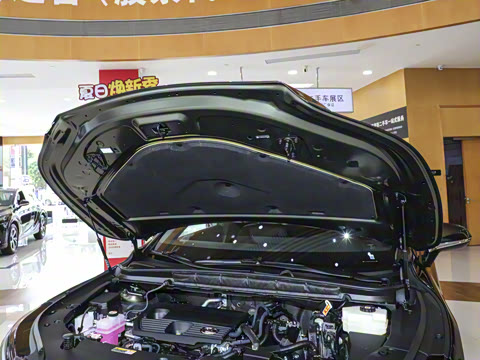 2025�� 350h ����������