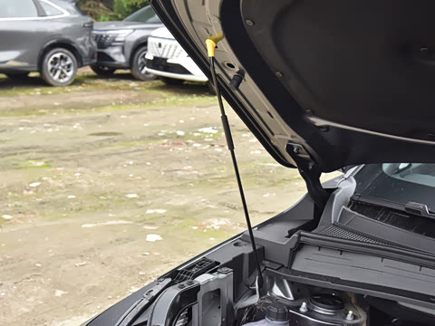 2026�� ���Ĵ� ������ 1.5T ������