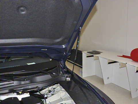 2025�� ������