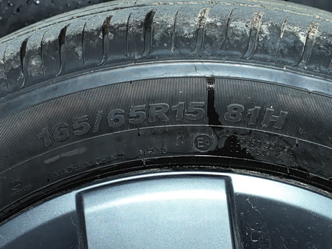 2025�� �Ǽݰ� 305km ������