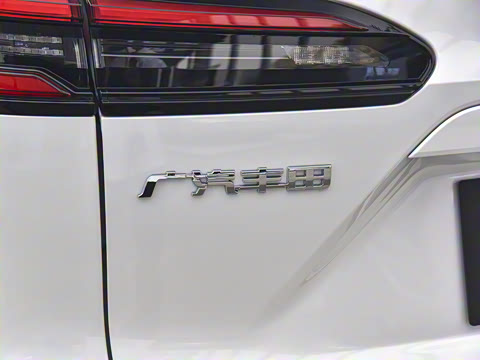 2026�� 2.0L ���ܵ��˫�� ����