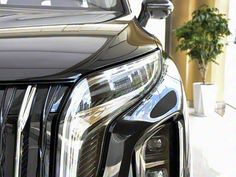 2025�� 2.0T PHEV ���������� 7��