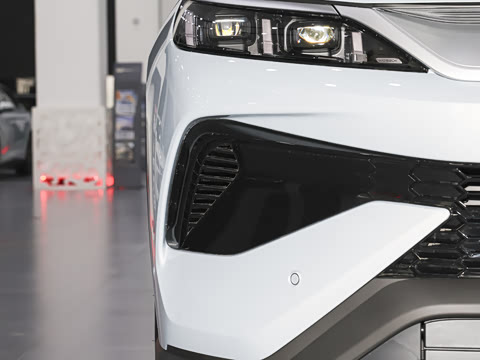 2026�� DM-i 220KM׿Խ��