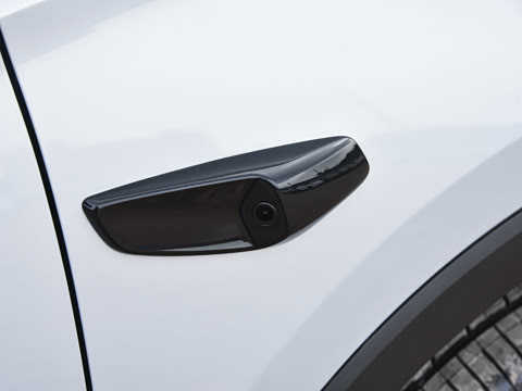 2026�� DM-i 220KM��Խ��