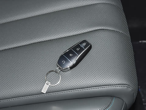 2026�� DM-i 220KM��Խ��