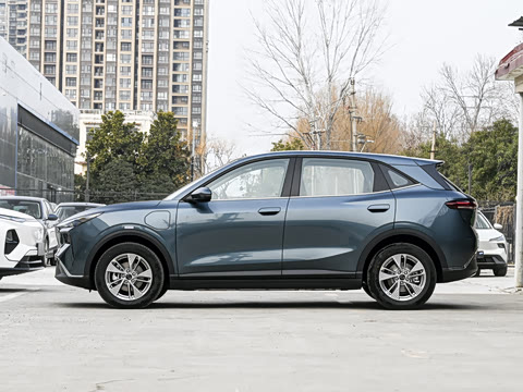 2025�� 565km ������