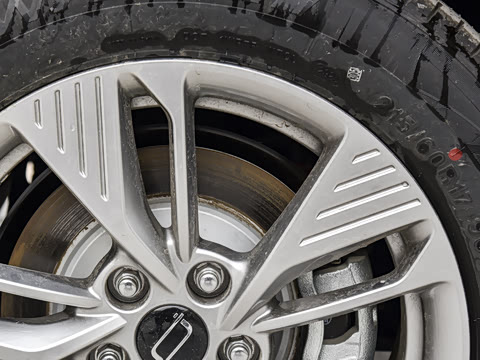 2025�� 445km ���ð�