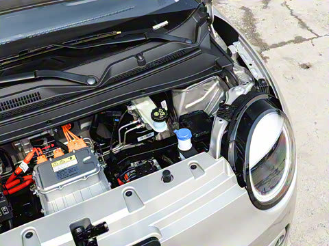 2026�� ���ذ� 205km �ᰮ�� ����