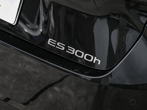 2026�� 300h